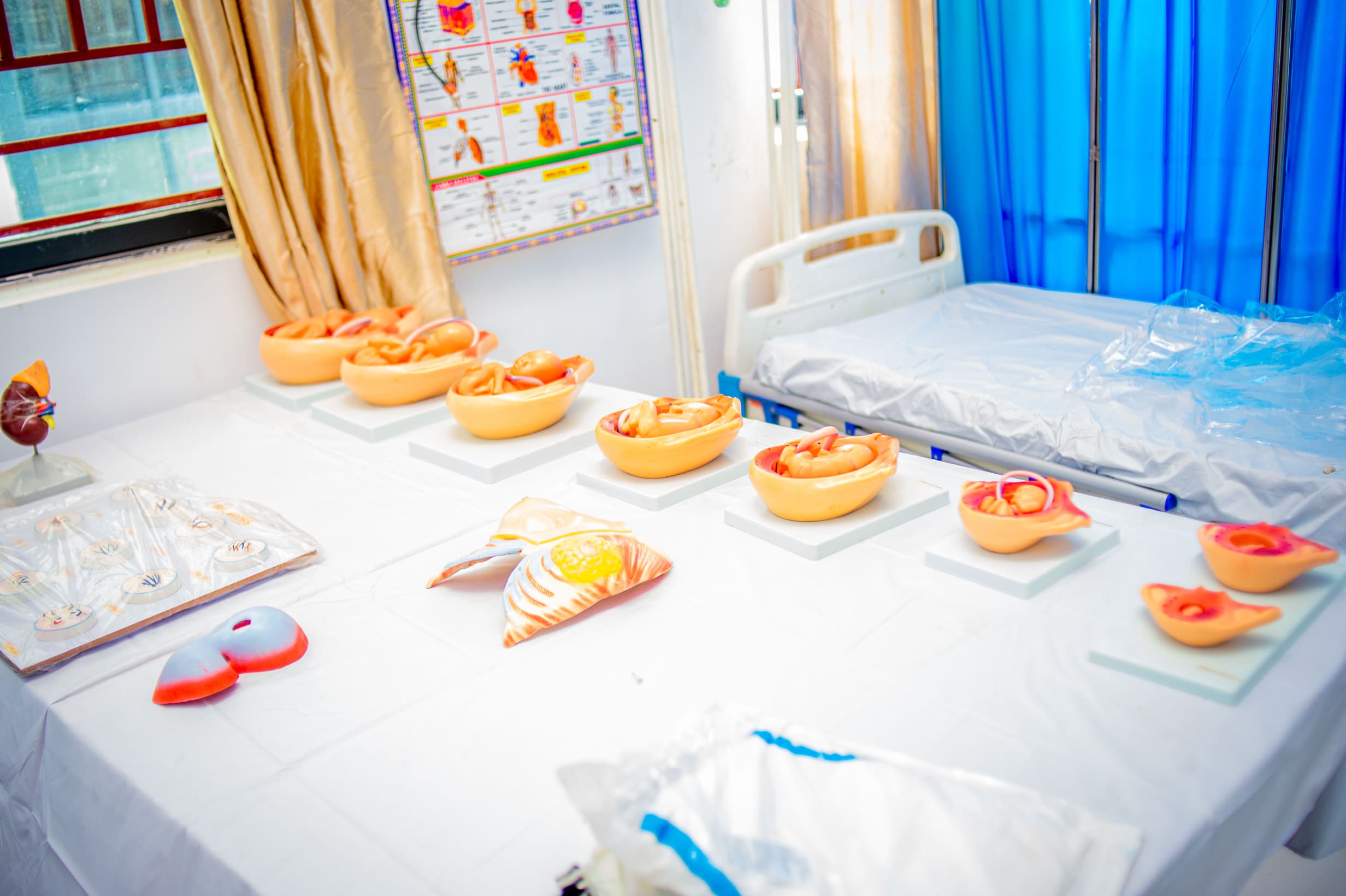 Clinical Medicine Lab